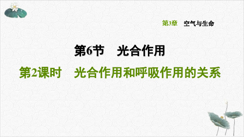 3.6.2光合作用和呼吸作用的关系2021学年浙教版八年级科学下册习题课件