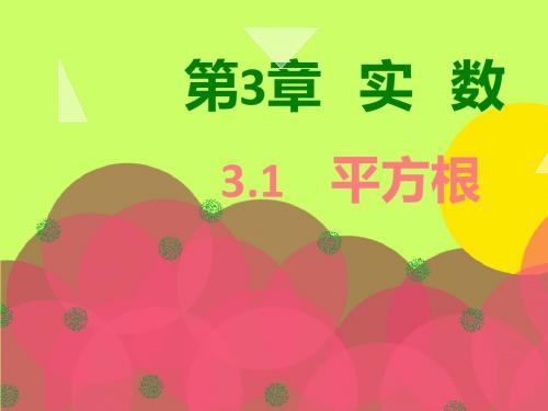 平方根 PPT课件 49 浙教版