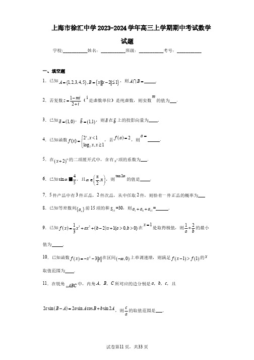 上海市徐汇中学2023-2024学年高三上学期期中考试数学试题