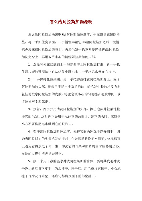 怎么给阿拉斯加洗澡啊