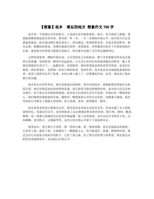 【想象】故乡  难忘的地方 想象作文700字