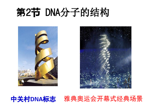 人教版高中生物必修二3.2DNA分子的结构(共25张PPT)