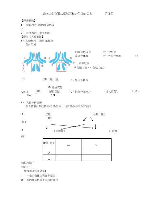 (完整版)基因在染色体上知识点总结以及同步练习