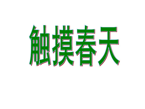 四年级下册语文课件17触摸春天｜人教新课标 (共17张PPT)