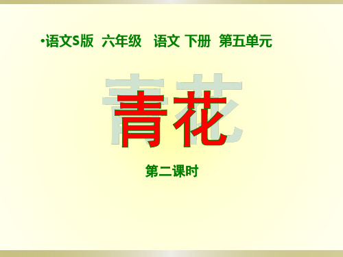 六年级下册语文课件第五单元 21 青花 语文S版 (共15张PPT)