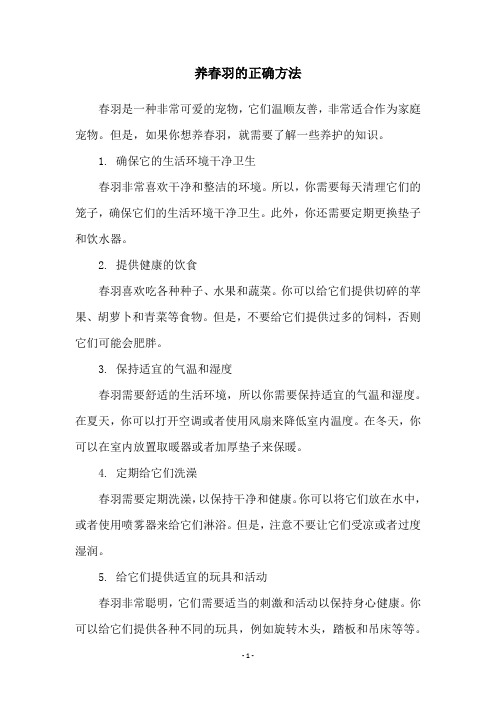 养春羽的正确方法