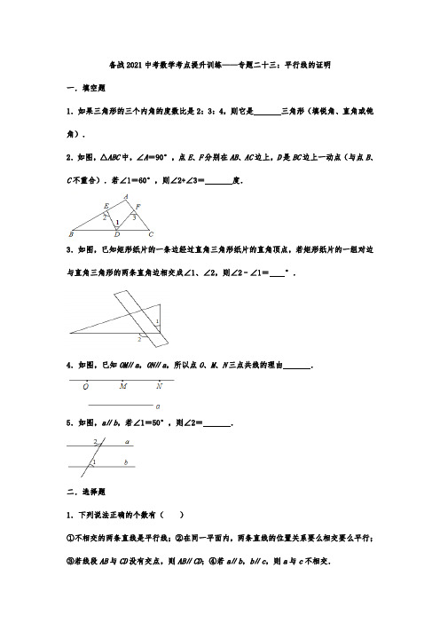 中考九年级数学考点提升训练——专题二十三：平行线的证明