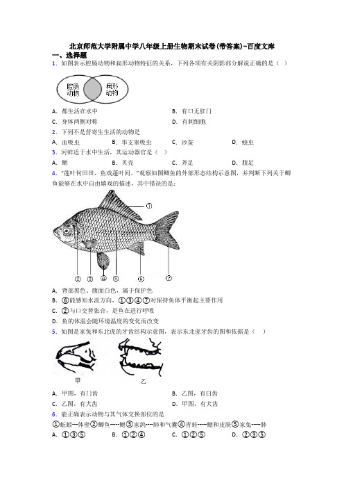 北京师范大学附属中学八年级上册生物期末试卷(带答案)-百度文库