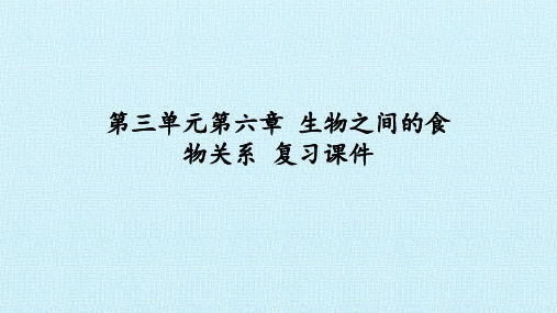 苏科版七年级生物上册：第六章  生物之间的食物关系  复习课件(共20张PPT)