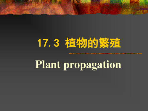 普通生物学-17-3-植物的结构、生殖和发育-植物的繁殖