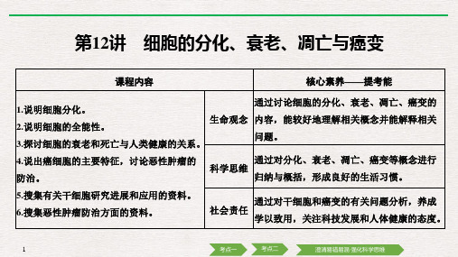 新高考生物总复习必修1 细胞的分化、衰老、凋亡与癌变