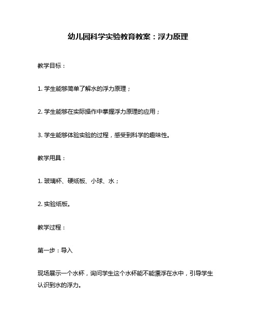 幼儿园科学实验教育教案：浮力原理