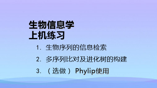 【精品】生物信息学上机实验更新PPT资料