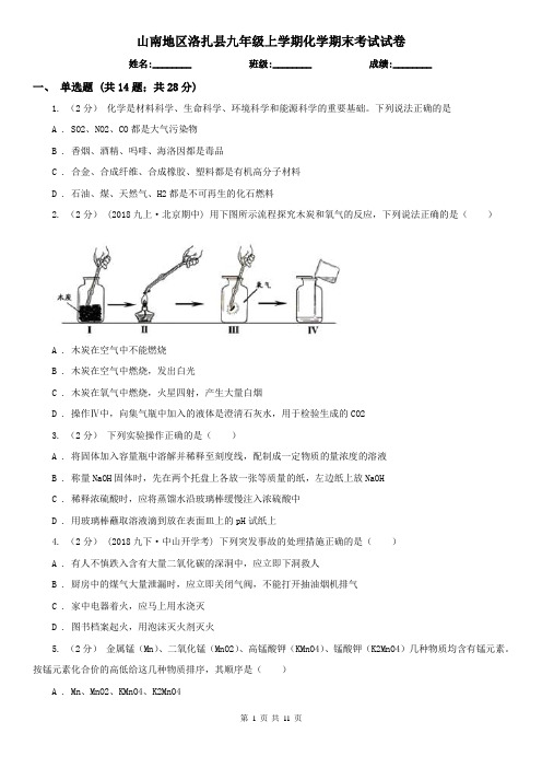 山南地区洛扎县九年级上学期化学期末考试试卷