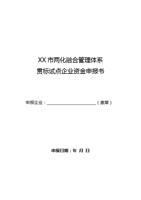 XX市两化融合管理体系贯标试点企业资金申报书【模板】