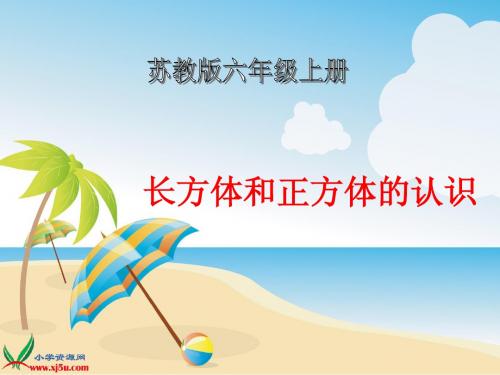 苏教版数学六年级上册《长方体和正方体的认识(一)》课件1