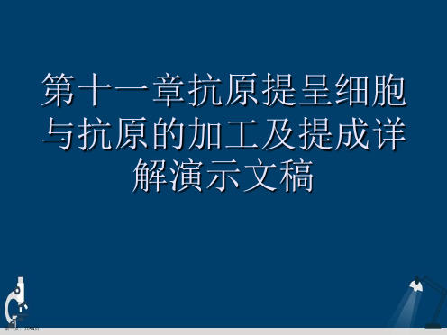 第十一章抗原提呈细胞与抗原的加工及提成详解演示文稿