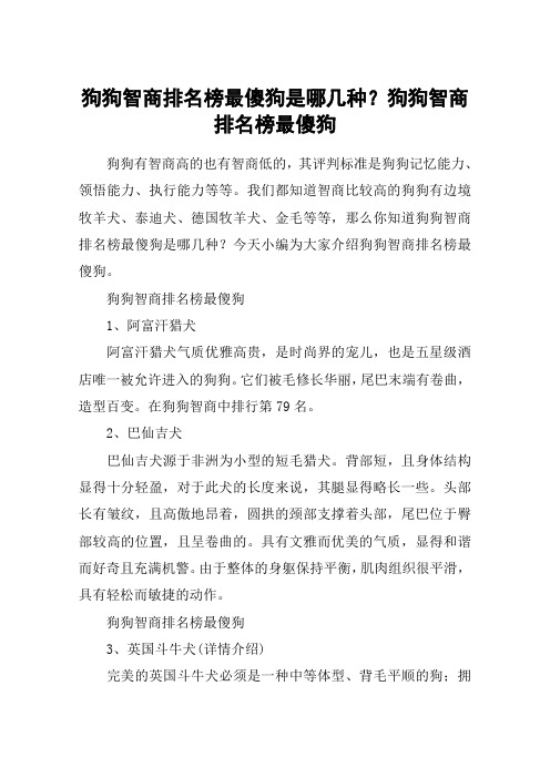 狗狗智商排名榜最傻狗是哪几种？狗狗智商排名榜最傻狗