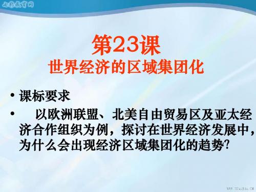 历史必修ⅱ人教新课标第8单元第23课世界经济的区域集团化课件.