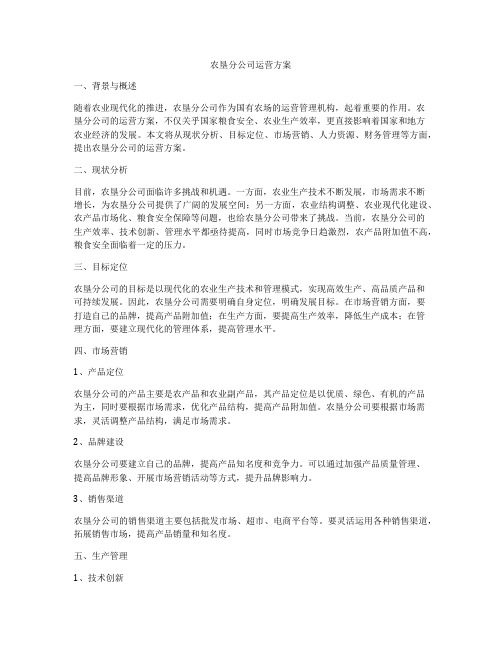 农垦分公司运营方案