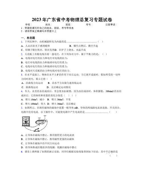 2023年广东省中考物理总复习专题试卷附解析