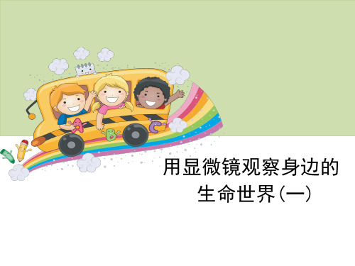 六年级下册科学课件《用显微镜观察身边的生命世界(一)》教科版