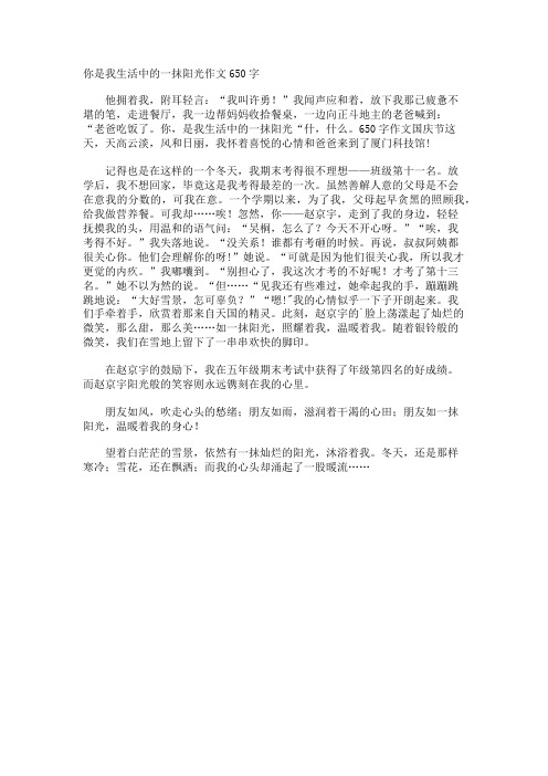 你是我生活中的一抹阳光作文650字