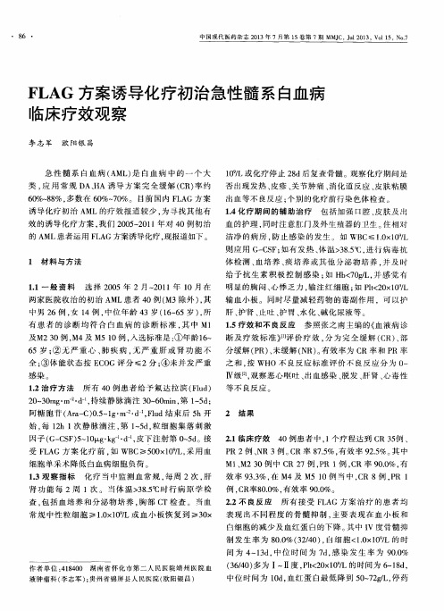 FLAG方案诱导化疗初治急性髓系白血病临床疗效观察