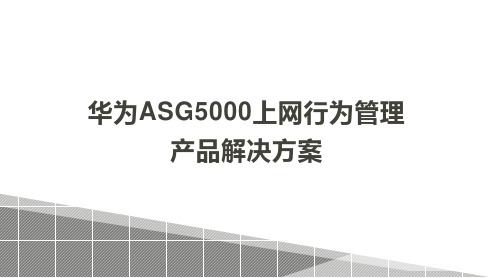 华为ASG5000上网行为管理产品解决方案