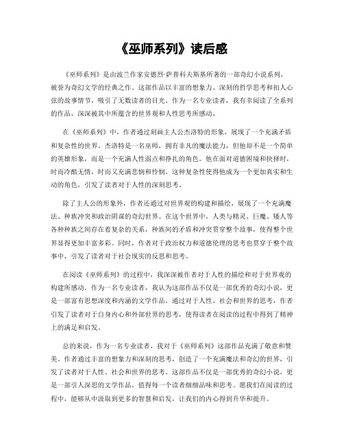 《巫师系列》读后感