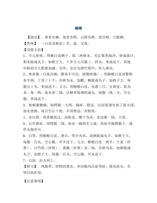 医学知识之椿樗
