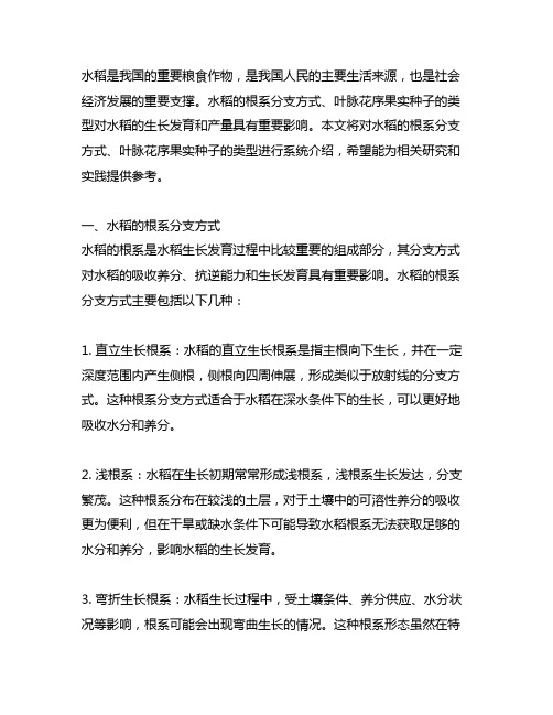 水稻的根系分支方式,叶脉花序果实种子的类型