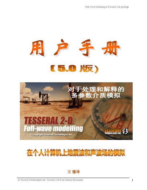 Tesseral 2-D 全波场模拟用户手册