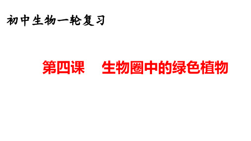 2024年中考复习第四课：生物圈中的绿色植物(共21张PPT)