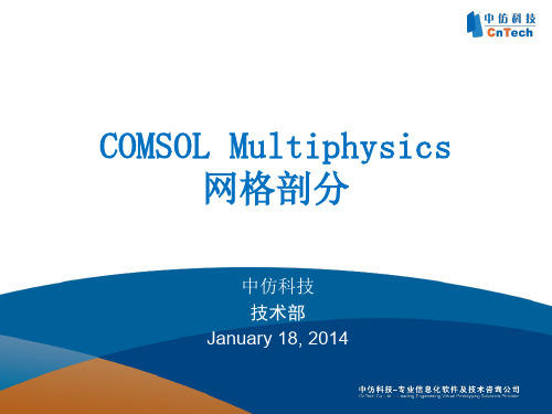 COMSOL Multiphysics网格剖分