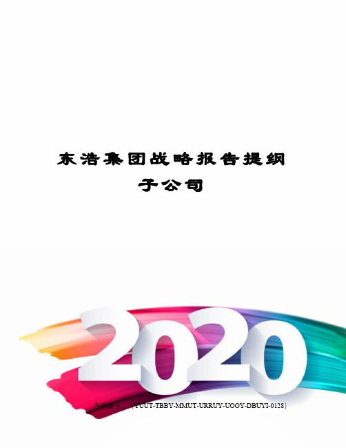 东浩集团战略报告提纲子公司修订稿