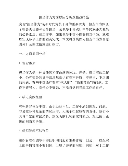 担当作为方面原因分析及整改措施