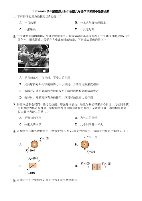 2022-2023学年湖南师大附中集团八年级下学期期中物理试题