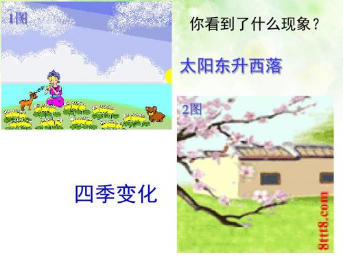 第二节  地球的运动(自转和公转)