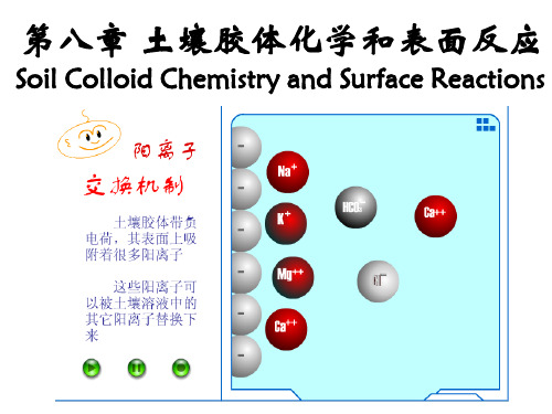 第8章 土壤胶体化学和表面反映