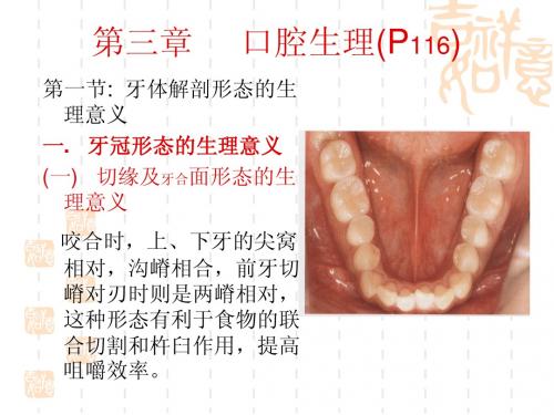 口腔生理1