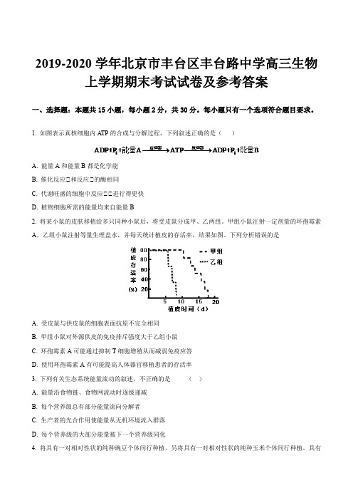 2019-2020学年北京市丰台区丰台路中学高三生物上学期期末考试试卷及参考答案