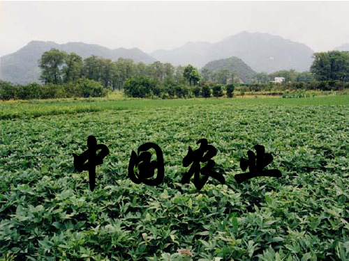 高中地理 高考一轮区域地理复习 中国地理 中国的农业 (44张ppt)