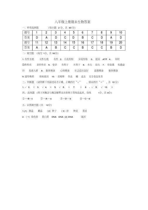 12-13八年生物(上)期末答案