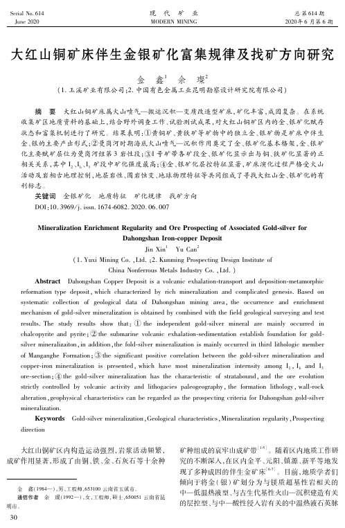 大红山铜矿床伴生金银矿化富集规律及找矿方向研究