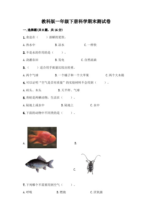 教科版一年级下册科学期末测试卷可打印及一套参考答案