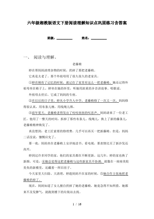 六年级湘教版语文下册阅读理解知识点巩固练习含答案