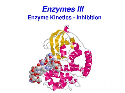 南京大学-杨荣武生物化学-英文版-第二篇-EnzymeIII