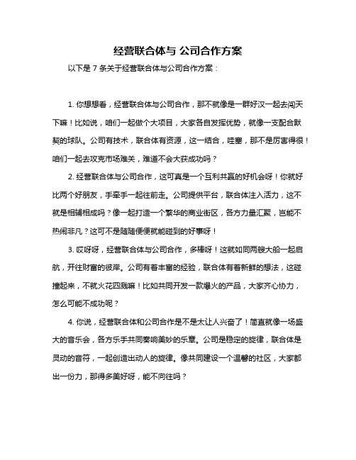 经营联合体与 公司合作方案