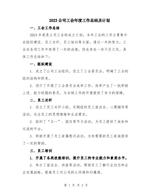 2023公司工会年度工作总结及计划